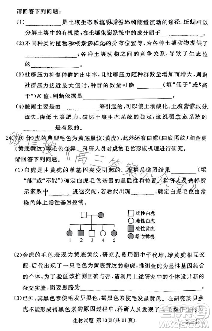 湘豫名校聯(lián)考2023年8月高三秋季入學(xué)摸底考試化學(xué)試卷答案