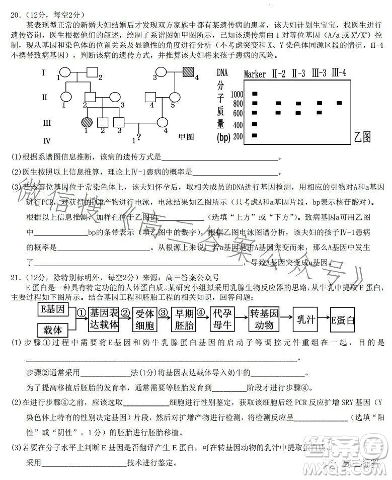 廣東七校聯(lián)合體2024屆8月高三第一次聯(lián)考生物答案