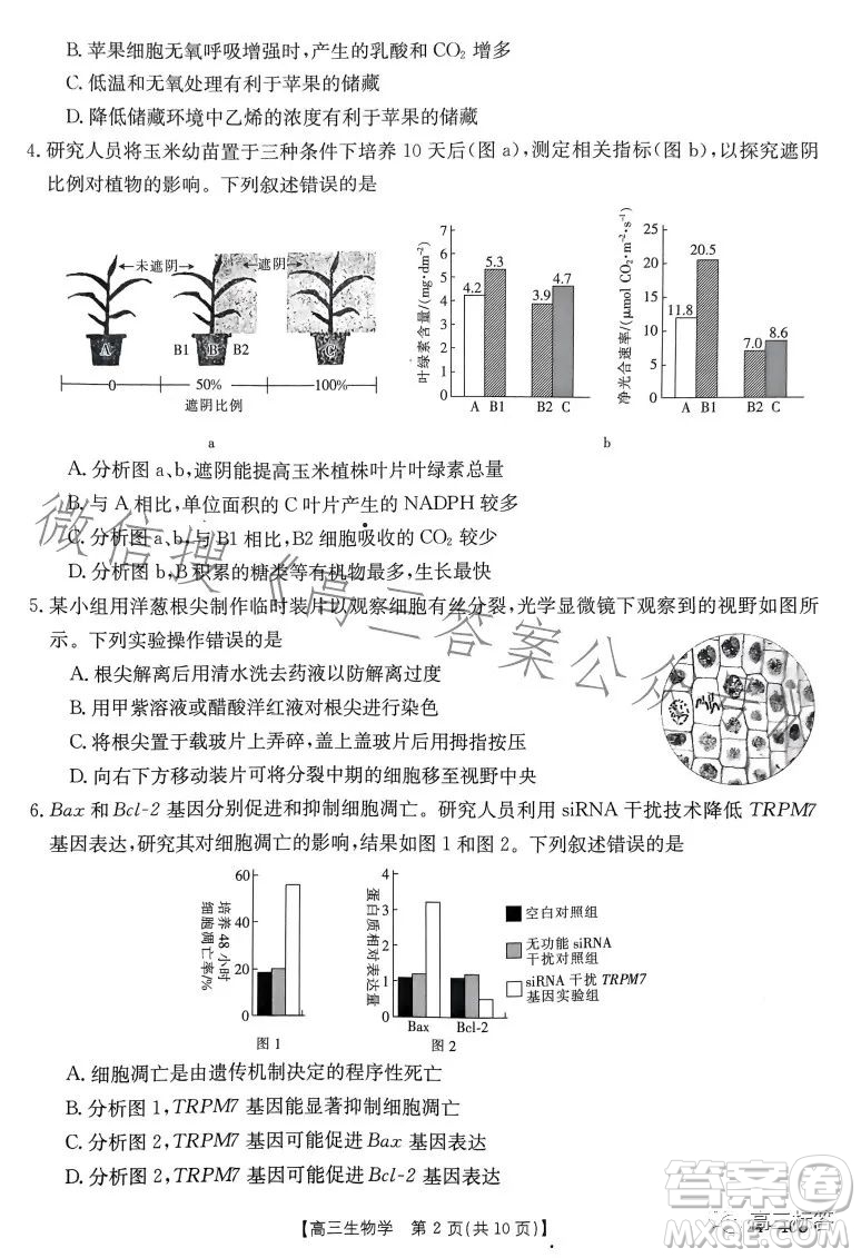 2024屆河南省金太陽高三名校聯(lián)考入學(xué)摸底考試生物試卷答案