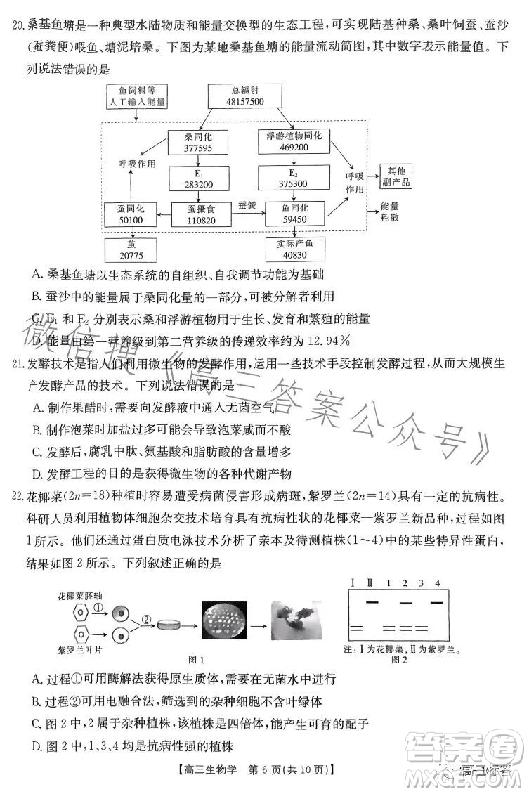 2024屆河南省金太陽高三名校聯(lián)考入學(xué)摸底考試生物試卷答案