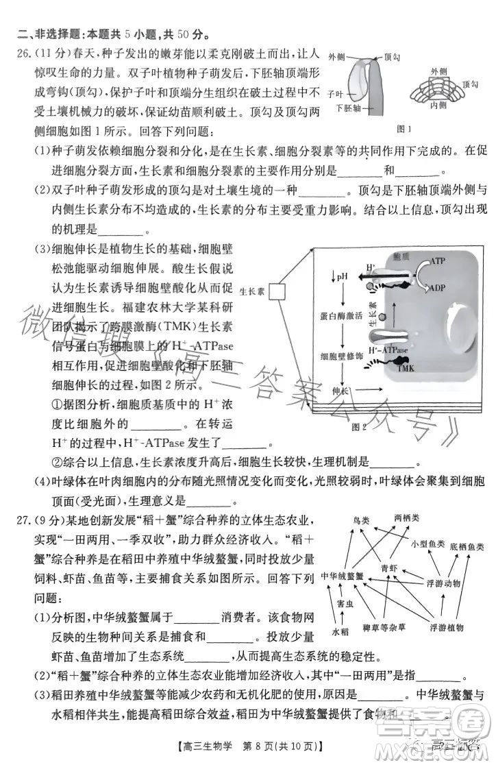 2024屆河南省金太陽高三名校聯(lián)考入學(xué)摸底考試生物試卷答案