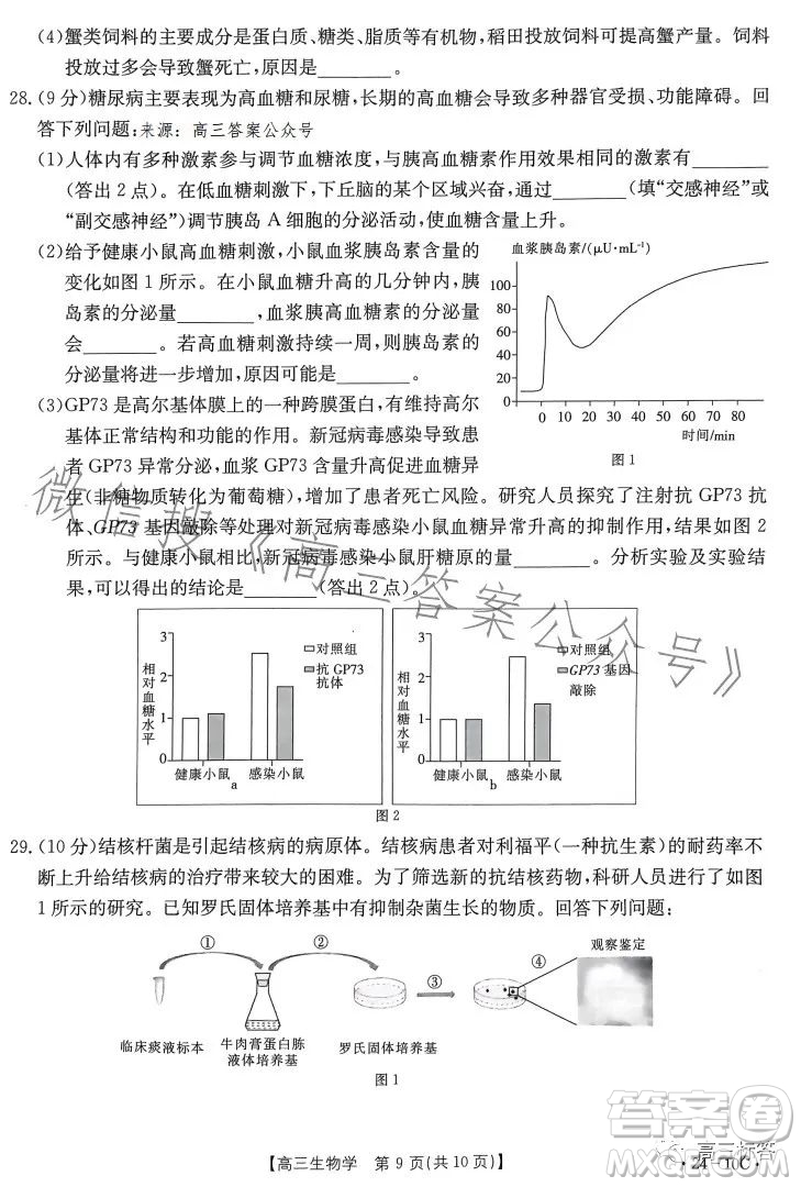 2024屆河南省金太陽高三名校聯(lián)考入學(xué)摸底考試生物試卷答案