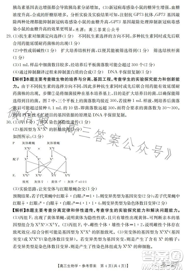 2024屆河南省金太陽高三名校聯(lián)考入學(xué)摸底考試生物試卷答案