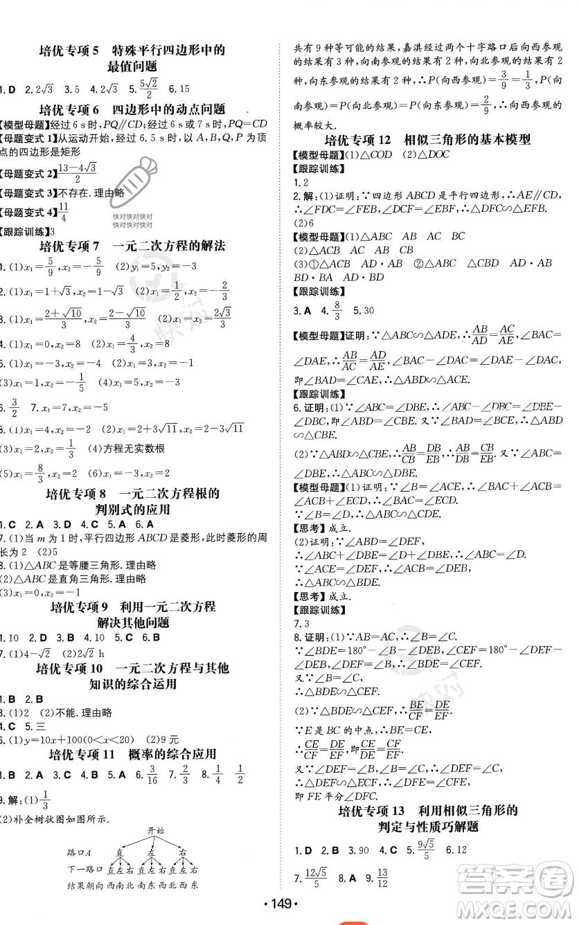 湖南教育出版社2023年一本同步訓練九年級上冊數(shù)學北師大版答案