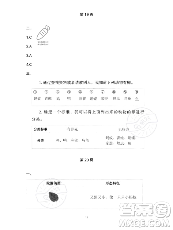 教育科學(xué)出版社2023年暑假作業(yè)三年級科學(xué)教科版答案