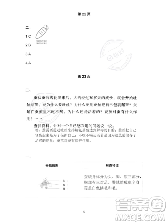 教育科學(xué)出版社2023年暑假作業(yè)三年級科學(xué)教科版答案