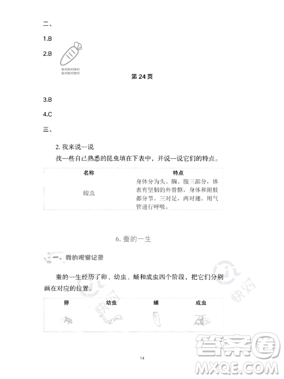 教育科學(xué)出版社2023年暑假作業(yè)三年級科學(xué)教科版答案