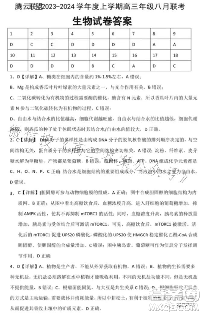 騰云聯(lián)盟2023-2024學(xué)年度上學(xué)期高三年級(jí)八月聯(lián)考生物試卷答案