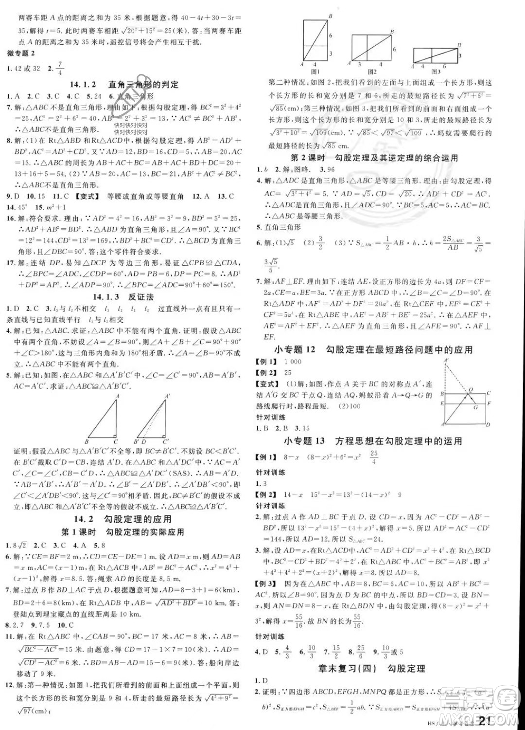 廣東經(jīng)濟出版社2023名校課堂八年級上冊數(shù)學(xué)華師版答案