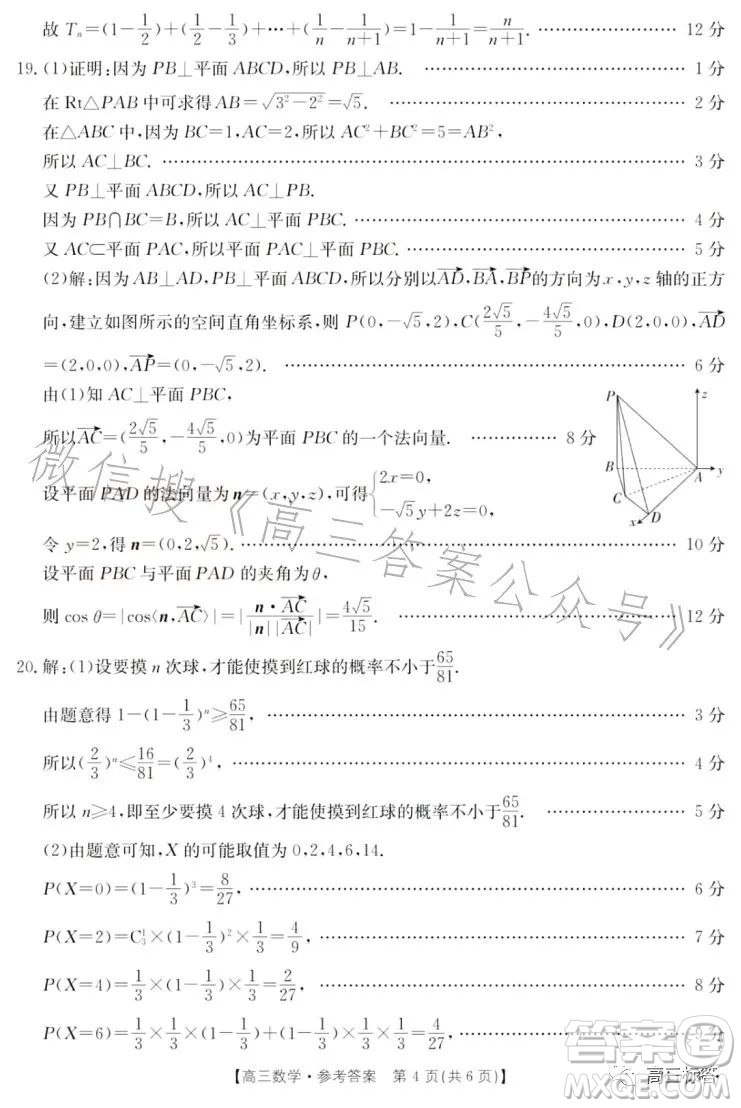 2024屆高三金太陽8月聯(lián)考24-03C數(shù)學試卷答案