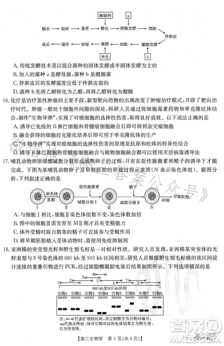 2024屆高三金太陽8月聯(lián)考24-03C生物試卷答案