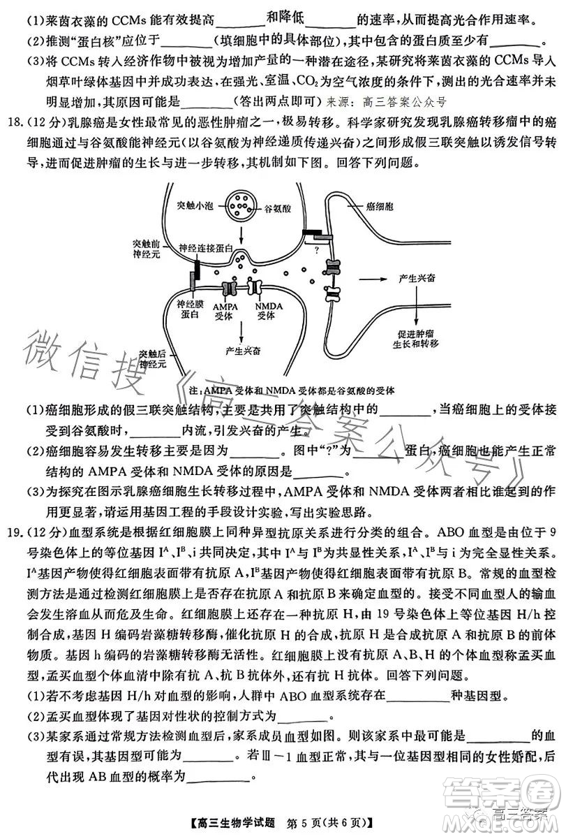 天壹名校聯(lián)盟2024屆高三入學(xué)摸底考試生物試卷答案