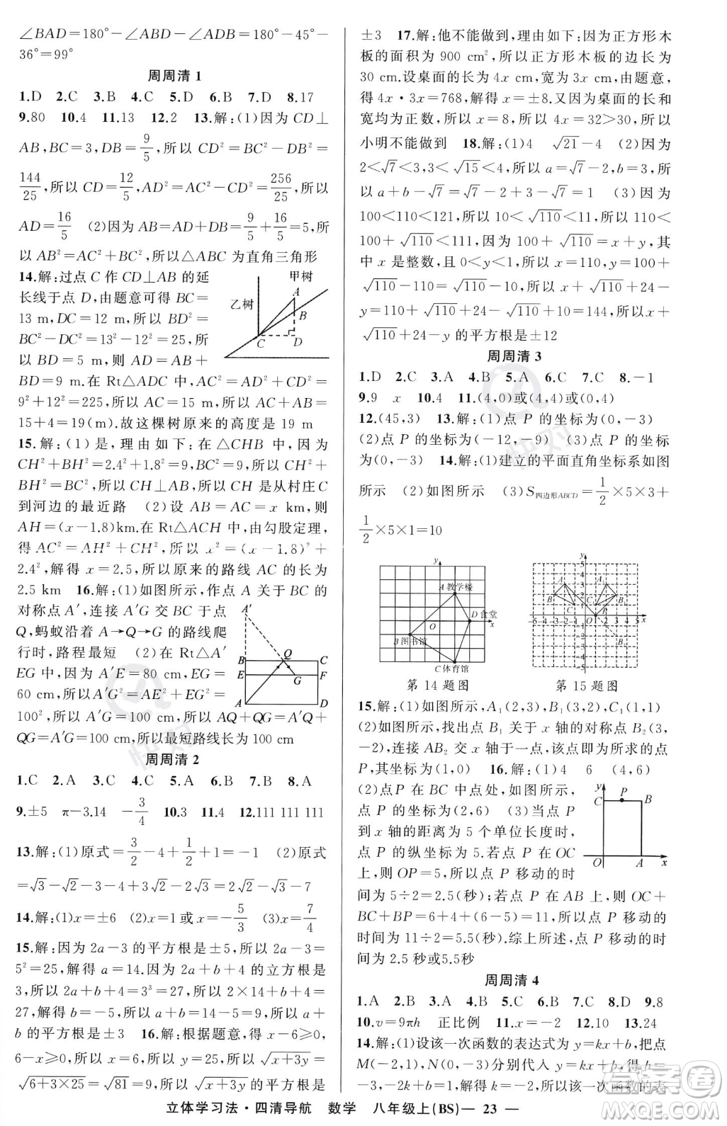 新疆青少年出版社2023年秋季四清導航八年級上冊數(shù)學北師大版遼寧專版答案