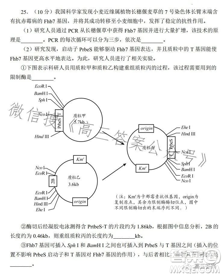 日照2021級高三上學(xué)期校際聯(lián)合考試生物試卷答案