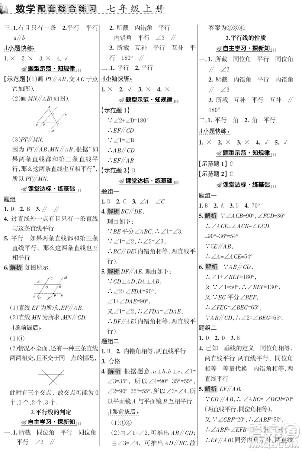 甘肅文化出版社2023年秋配套綜合練習(xí)七年級數(shù)學(xué)上冊華師大版參考答案