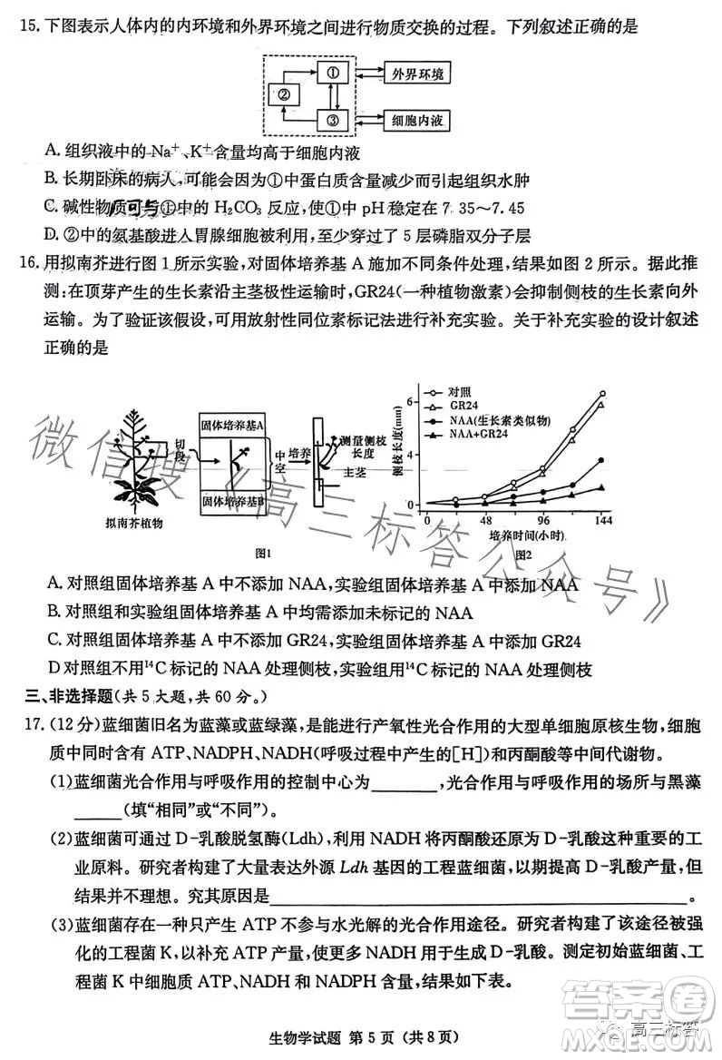 炎德英才大聯(lián)考2024屆高三第一次質(zhì)量檢測生物學(xué)試卷答案