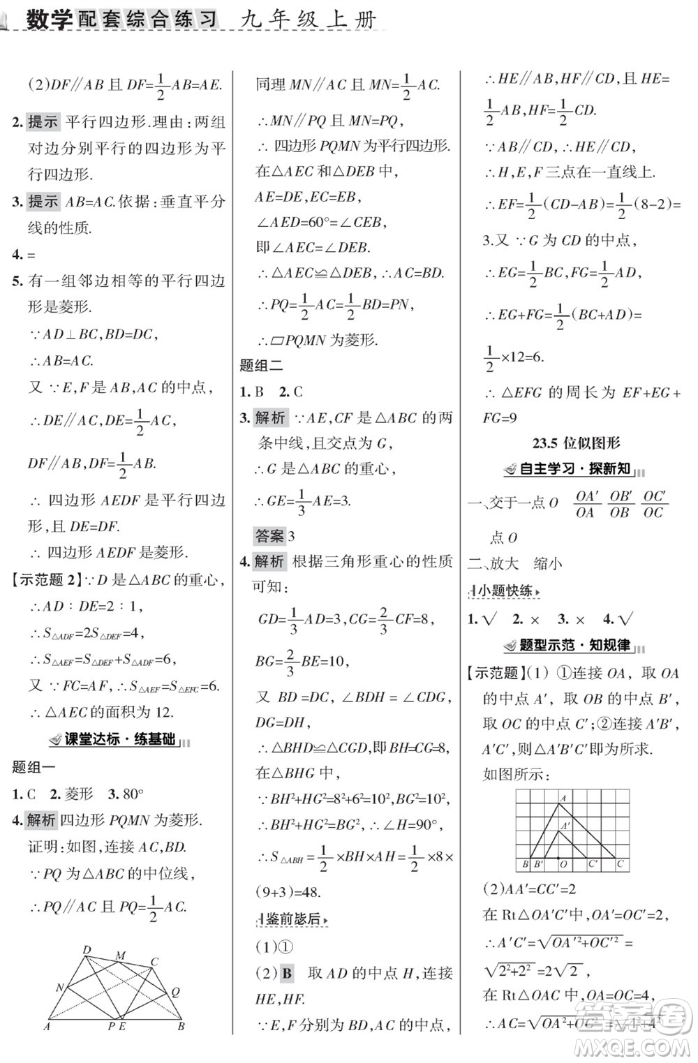 甘肅文化出版社2023年秋配套綜合練習(xí)九年級數(shù)學(xué)上冊華師大版參考答案