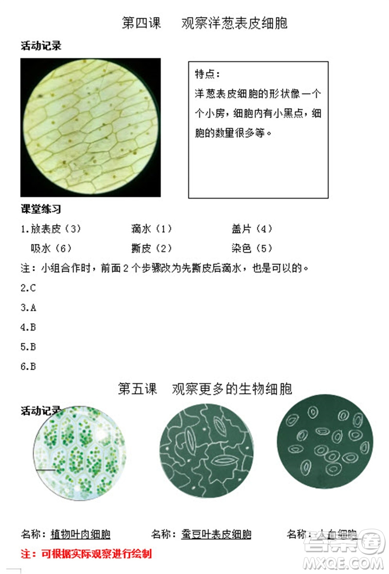 浙江教育出版社2023年秋科學作業(yè)本六年級上冊教科版參考答案