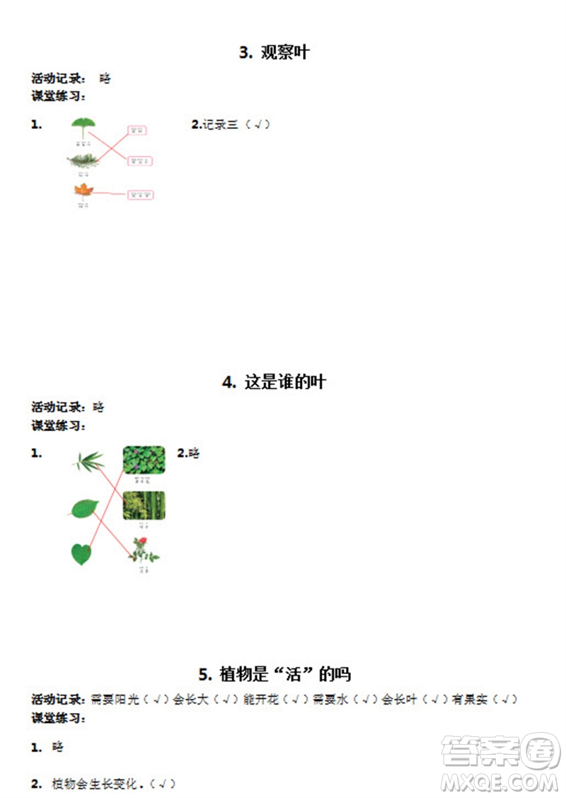 浙江教育出版社2023年秋科學(xué)課堂作業(yè)本一年級(jí)上冊(cè)教科版參考答案