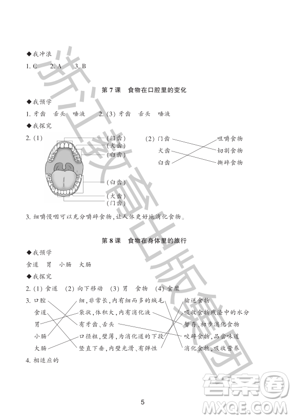 浙江教育出版社2023年秋預(yù)學(xué)與導(dǎo)學(xué)四年級上冊科學(xué)教科版答案