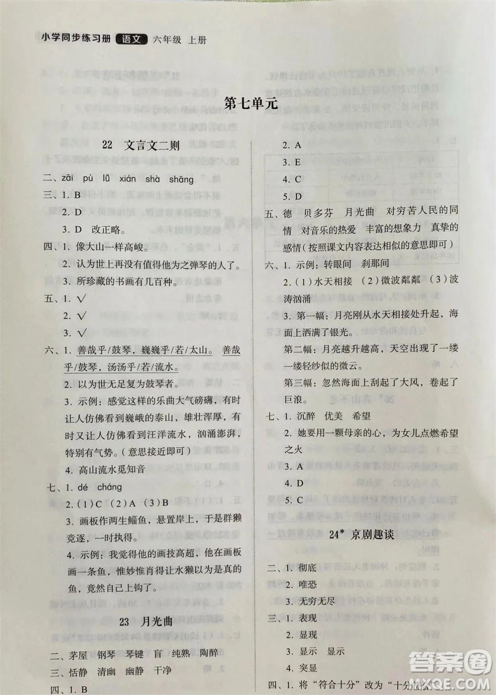 山東人民出版社2023年秋小學同步練習冊六年級語文上冊人教版參考答案