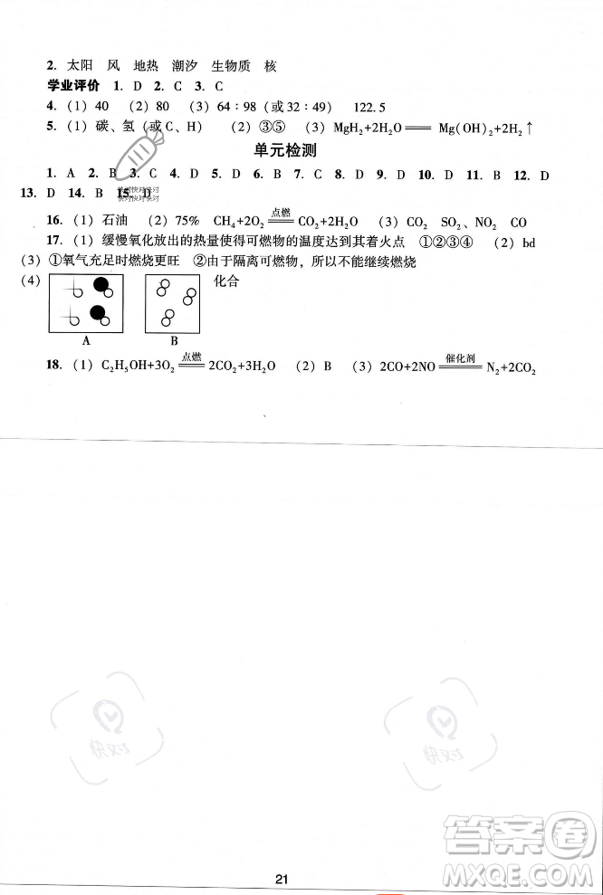 廣州出版社2023年秋陽(yáng)光學(xué)業(yè)評(píng)價(jià)九年級(jí)化學(xué)上冊(cè)人教版答案