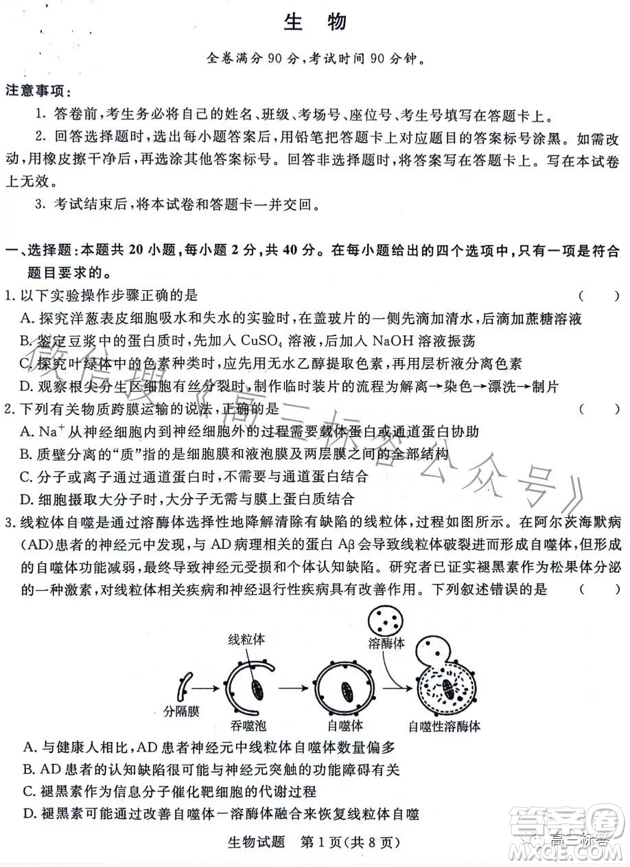 2024屆普通高等學(xué)校招生全國統(tǒng)一考試青桐鳴大聯(lián)考9月高三生物試卷答案