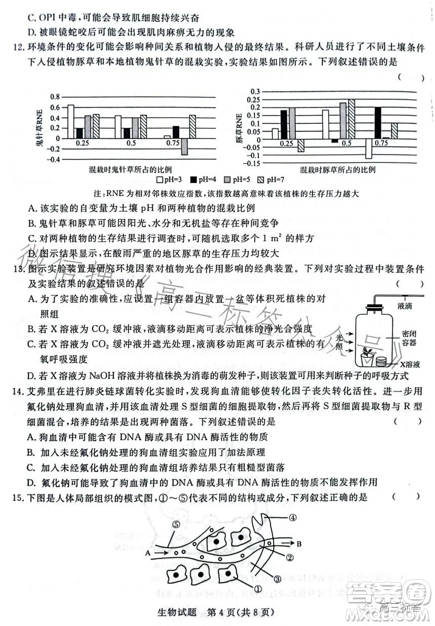 2024屆普通高等學(xué)校招生全國統(tǒng)一考試青桐鳴大聯(lián)考9月高三生物試卷答案