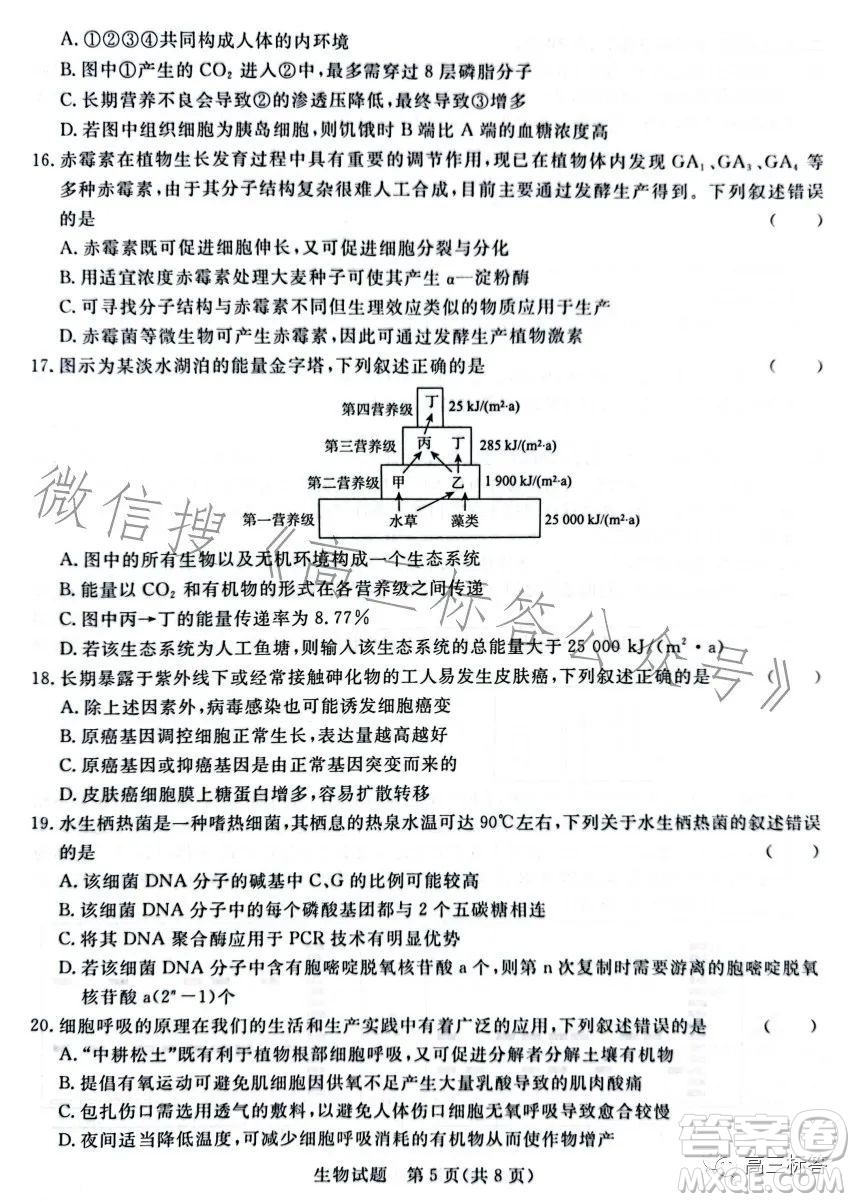 2024屆普通高等學(xué)校招生全國統(tǒng)一考試青桐鳴大聯(lián)考9月高三生物試卷答案