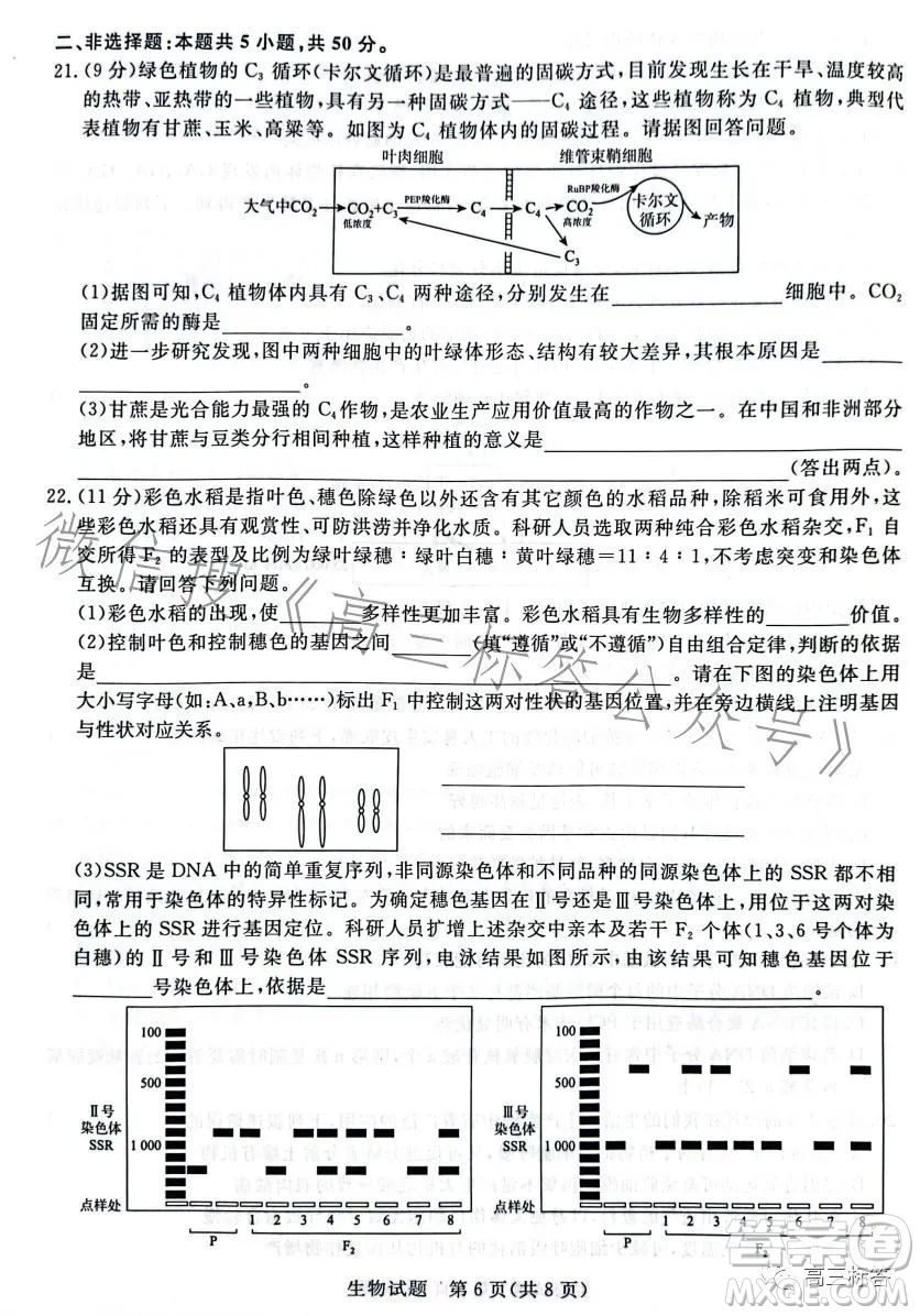 2024屆普通高等學(xué)校招生全國統(tǒng)一考試青桐鳴大聯(lián)考9月高三生物試卷答案