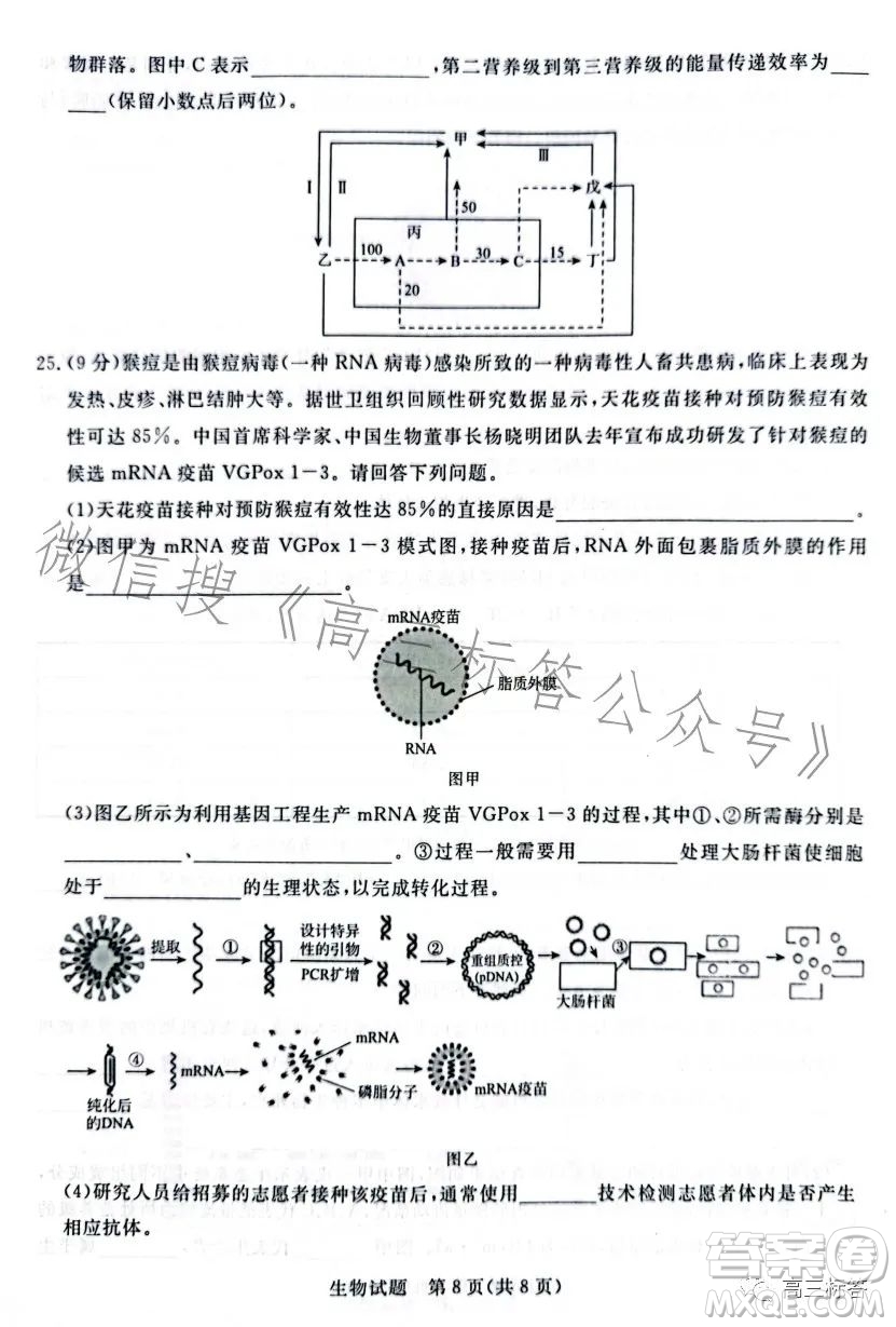 2024屆普通高等學(xué)校招生全國統(tǒng)一考試青桐鳴大聯(lián)考9月高三生物試卷答案