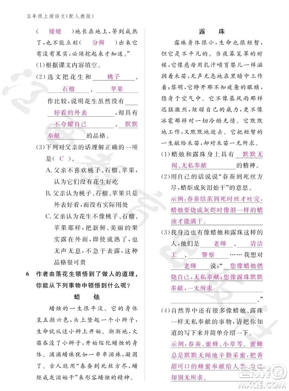 江西教育出版社2023年秋語(yǔ)文作業(yè)本五年級(jí)上冊(cè)人教版參考答案