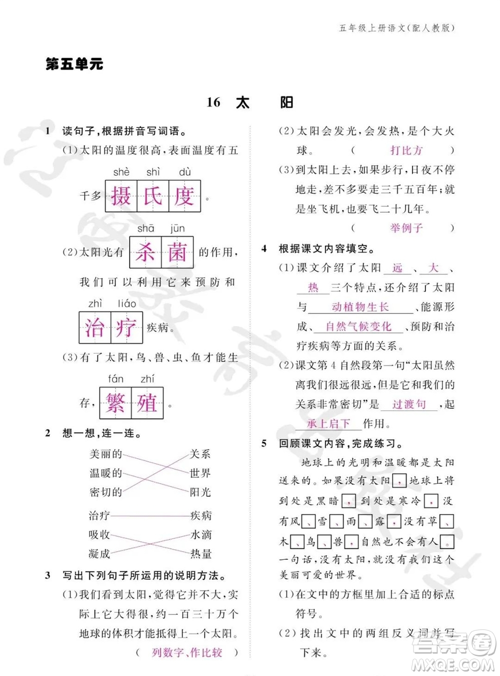 江西教育出版社2023年秋語(yǔ)文作業(yè)本五年級(jí)上冊(cè)人教版參考答案