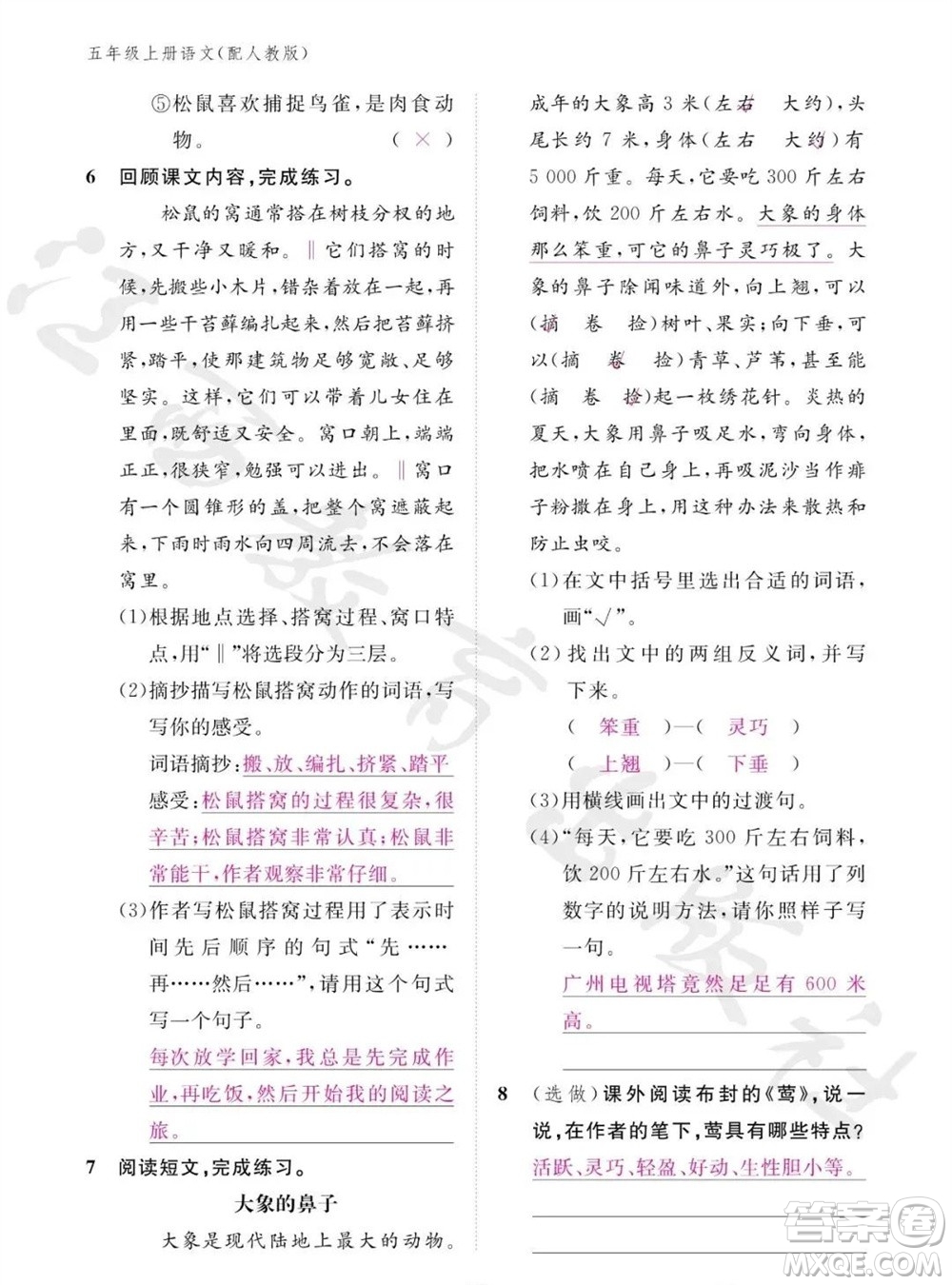 江西教育出版社2023年秋語(yǔ)文作業(yè)本五年級(jí)上冊(cè)人教版參考答案