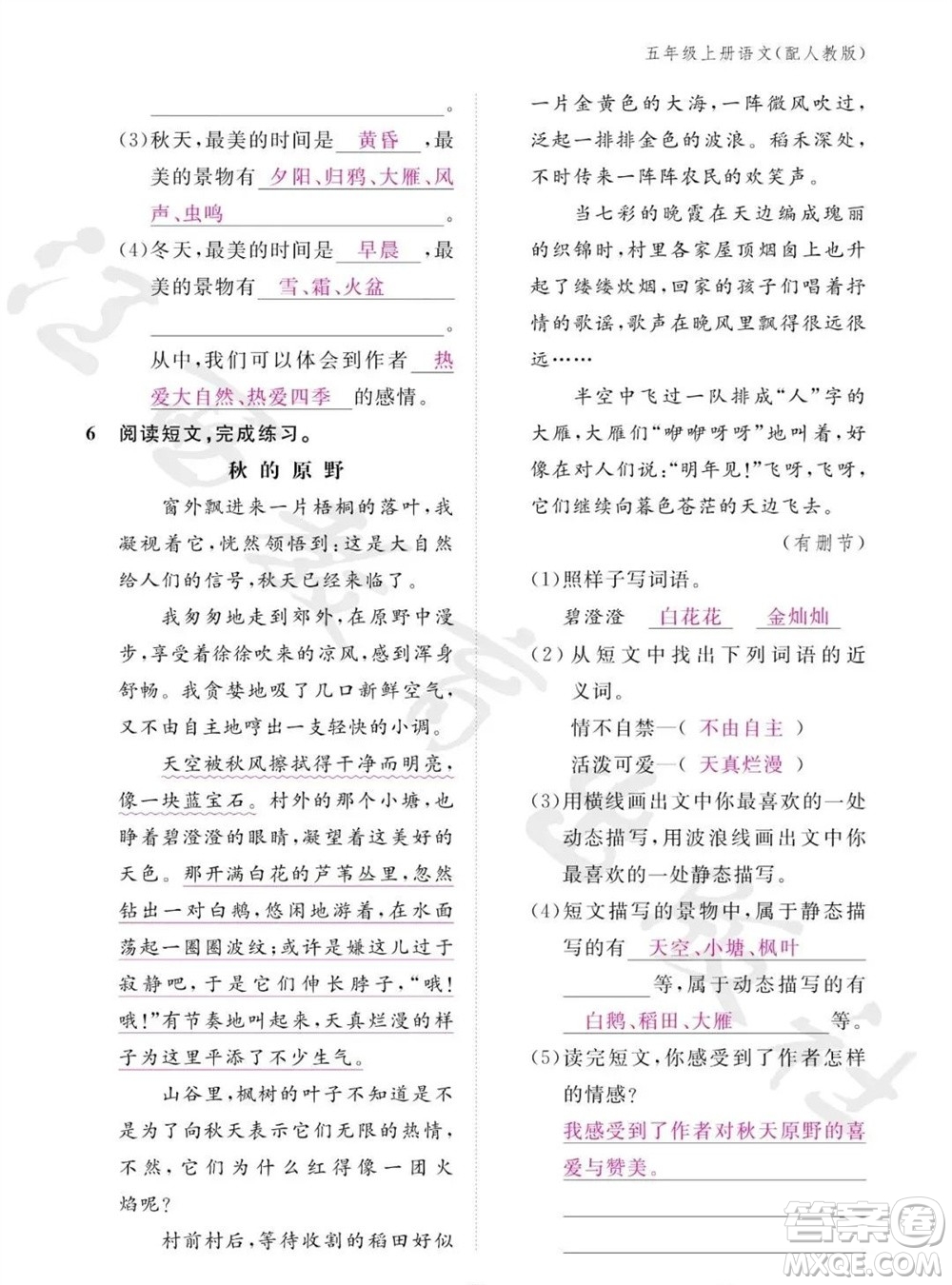 江西教育出版社2023年秋語(yǔ)文作業(yè)本五年級(jí)上冊(cè)人教版參考答案