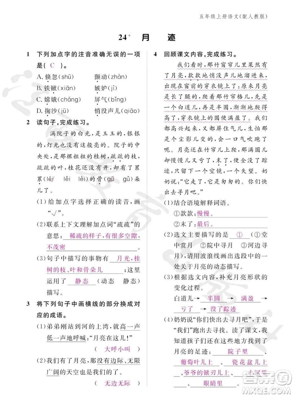 江西教育出版社2023年秋語(yǔ)文作業(yè)本五年級(jí)上冊(cè)人教版參考答案