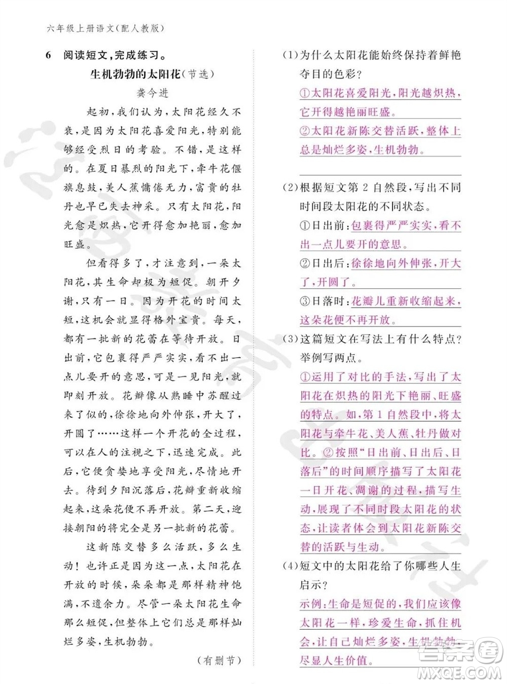 江西教育出版社2023年秋語(yǔ)文作業(yè)本六年級(jí)上冊(cè)人教版參考答案