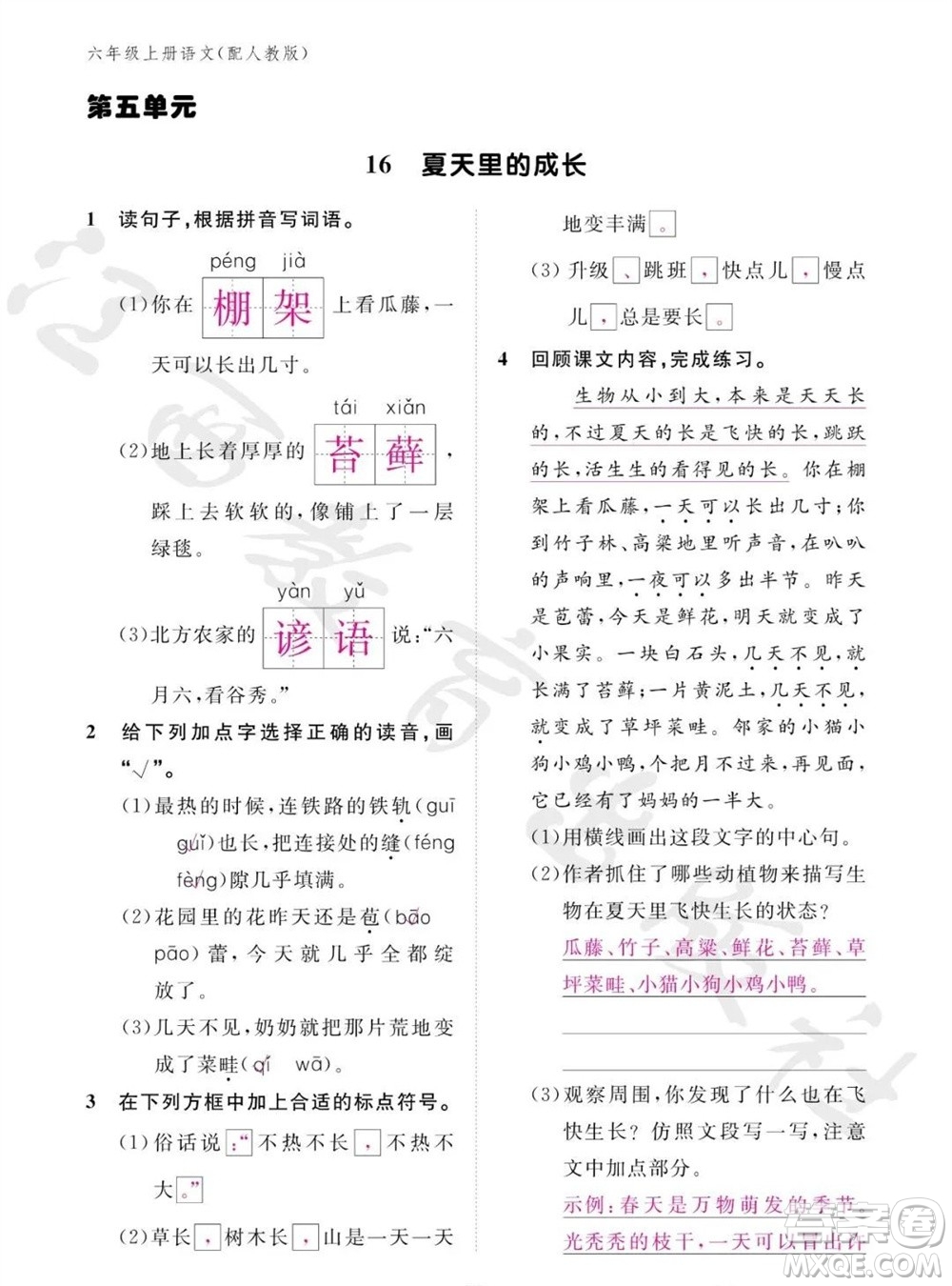 江西教育出版社2023年秋語(yǔ)文作業(yè)本六年級(jí)上冊(cè)人教版參考答案