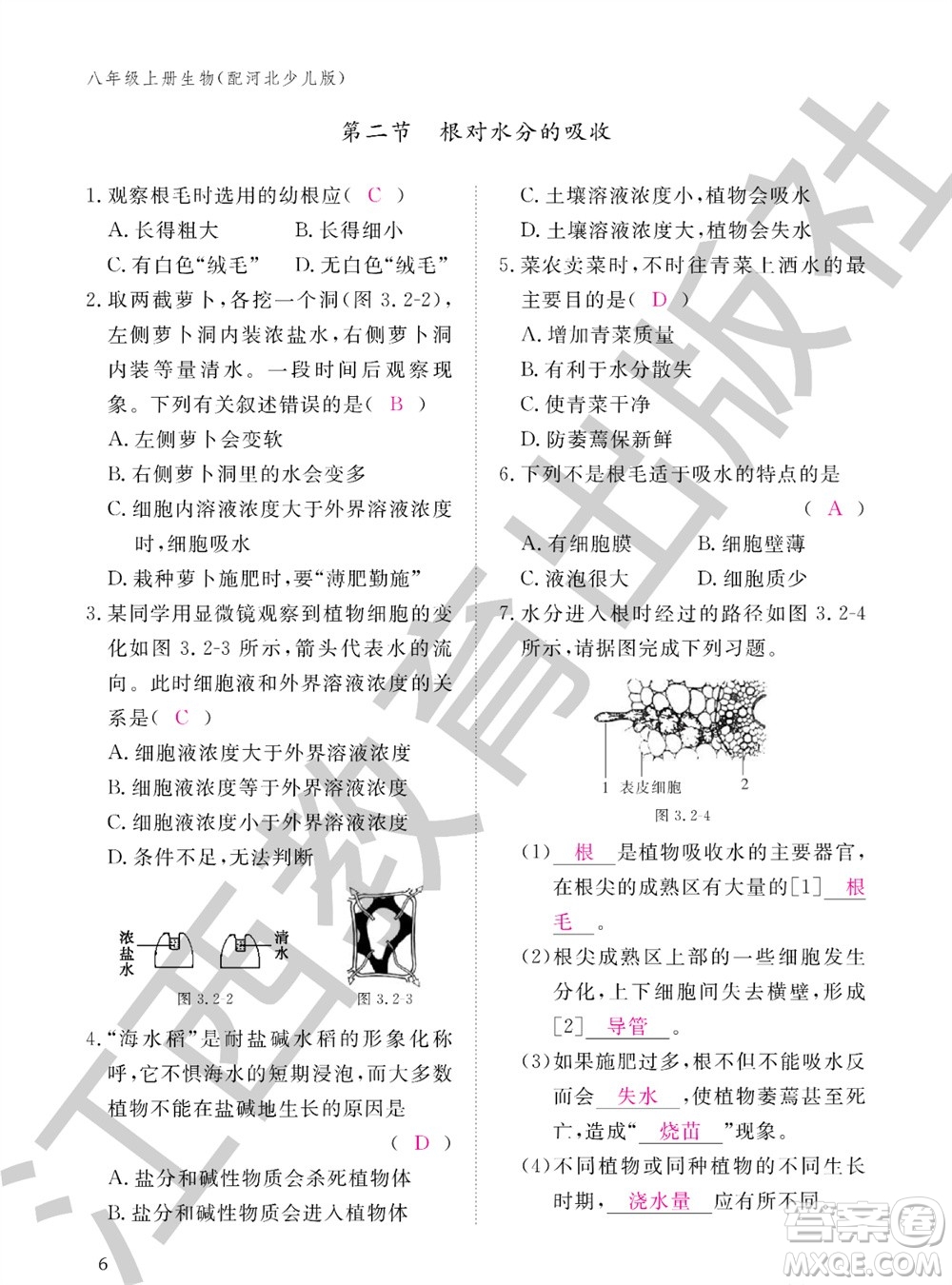 江西教育出版社2023年秋生物作業(yè)本八年級上冊冀少版參考答案