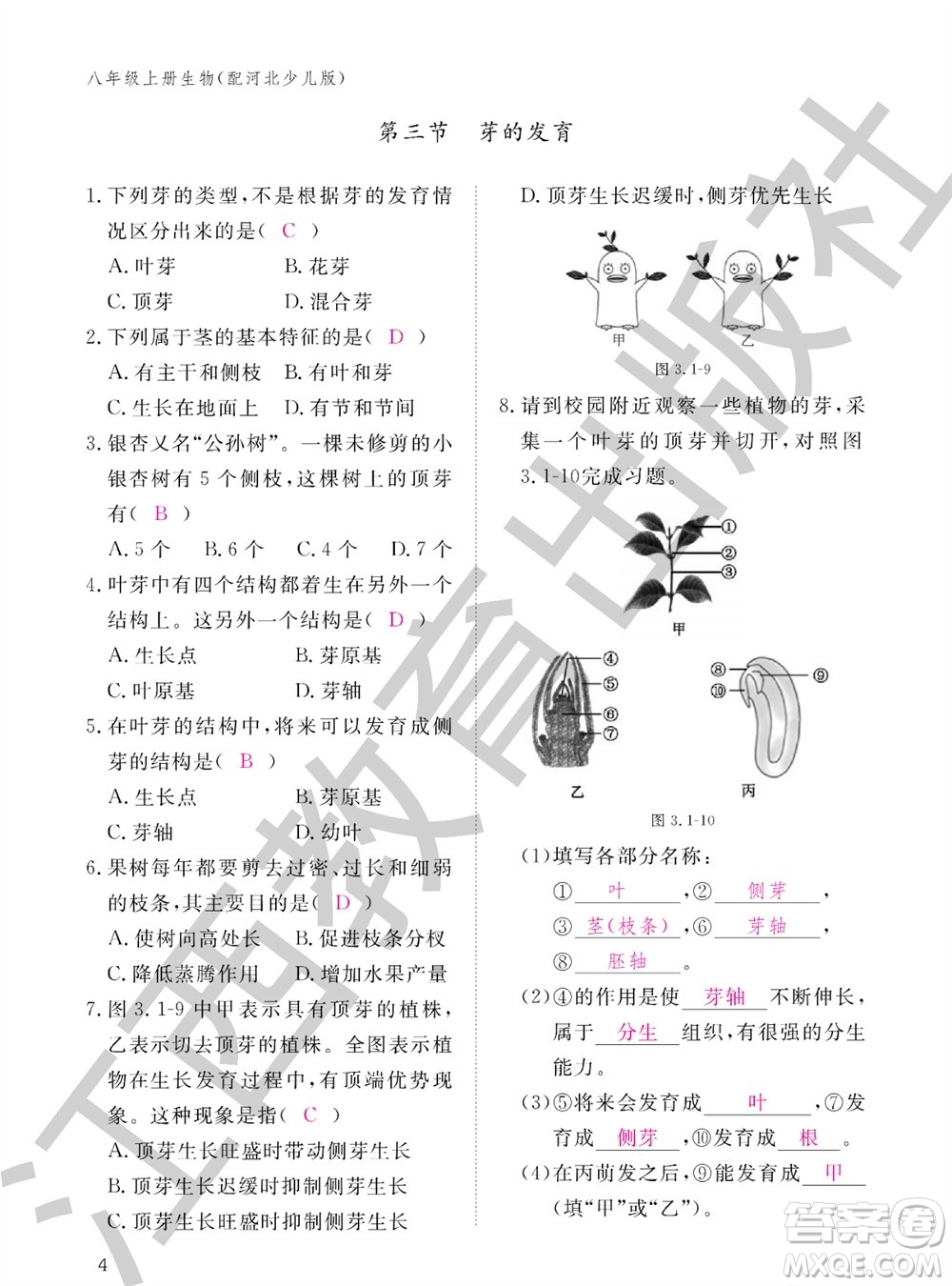 江西教育出版社2023年秋生物作業(yè)本八年級上冊冀少版參考答案