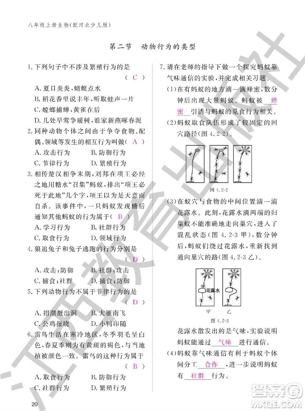 江西教育出版社2023年秋生物作業(yè)本八年級上冊冀少版參考答案