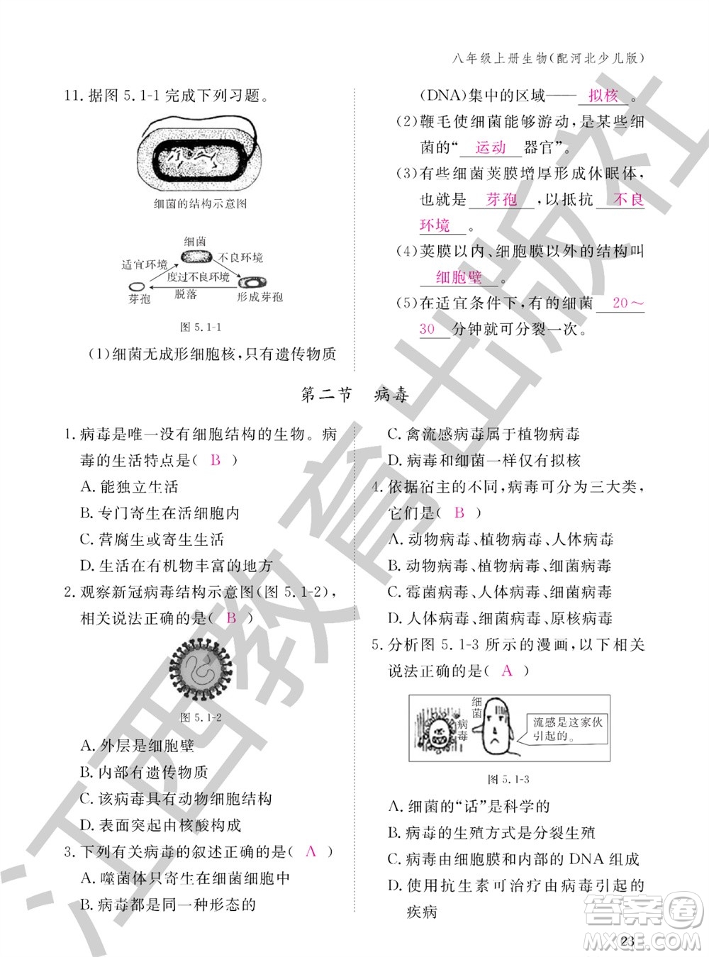 江西教育出版社2023年秋生物作業(yè)本八年級上冊冀少版參考答案