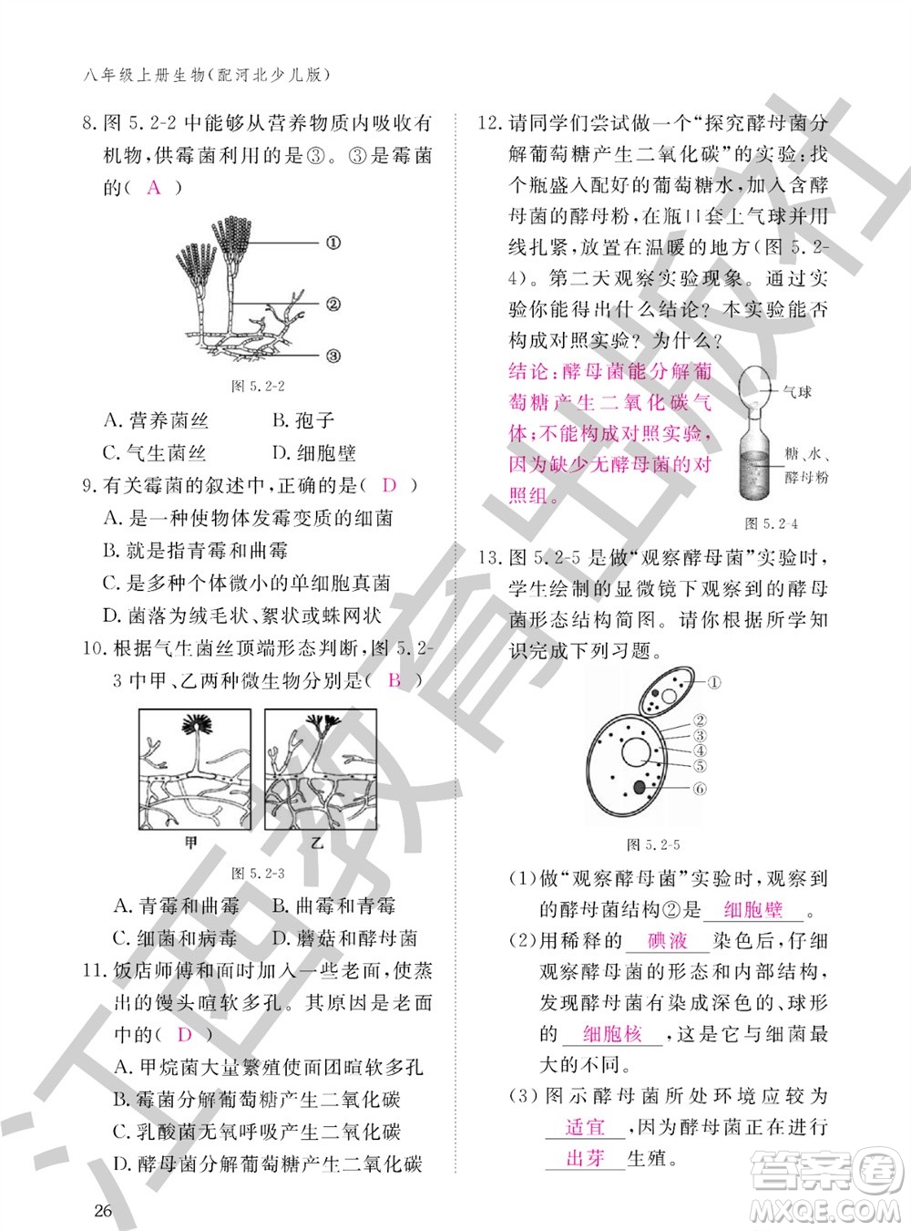 江西教育出版社2023年秋生物作業(yè)本八年級上冊冀少版參考答案