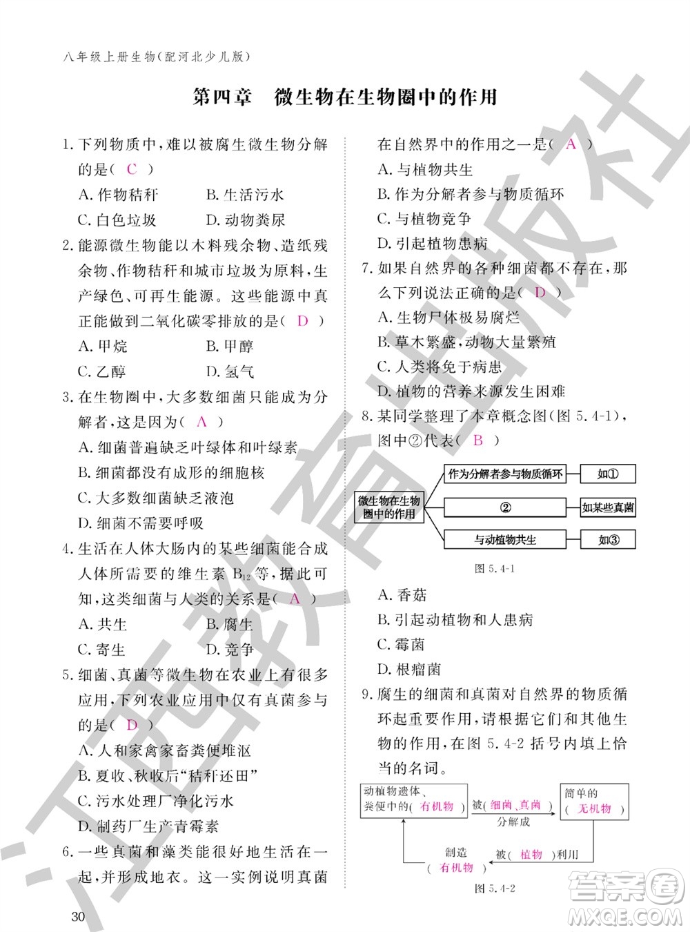 江西教育出版社2023年秋生物作業(yè)本八年級上冊冀少版參考答案