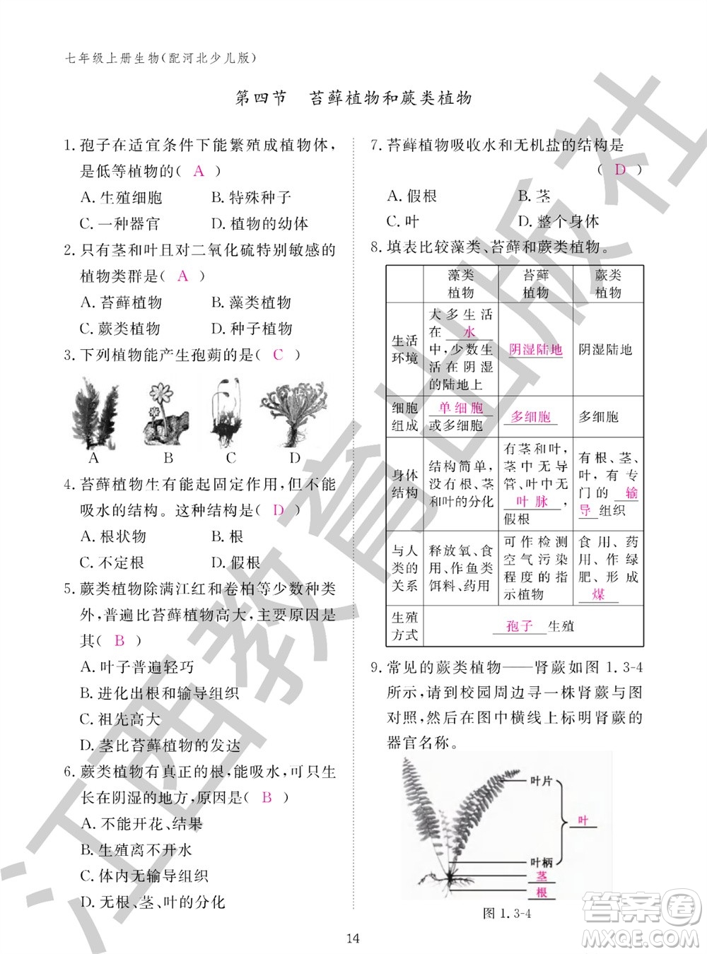 江西教育出版社2023年秋生物作業(yè)本七年級(jí)上冊(cè)冀少版參考答案