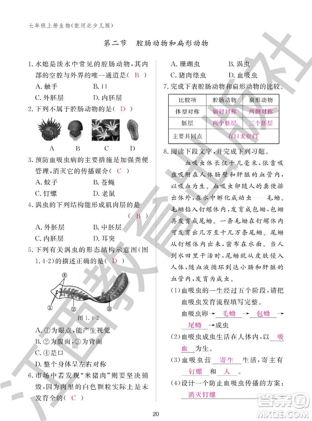 江西教育出版社2023年秋生物作業(yè)本七年級(jí)上冊(cè)冀少版參考答案