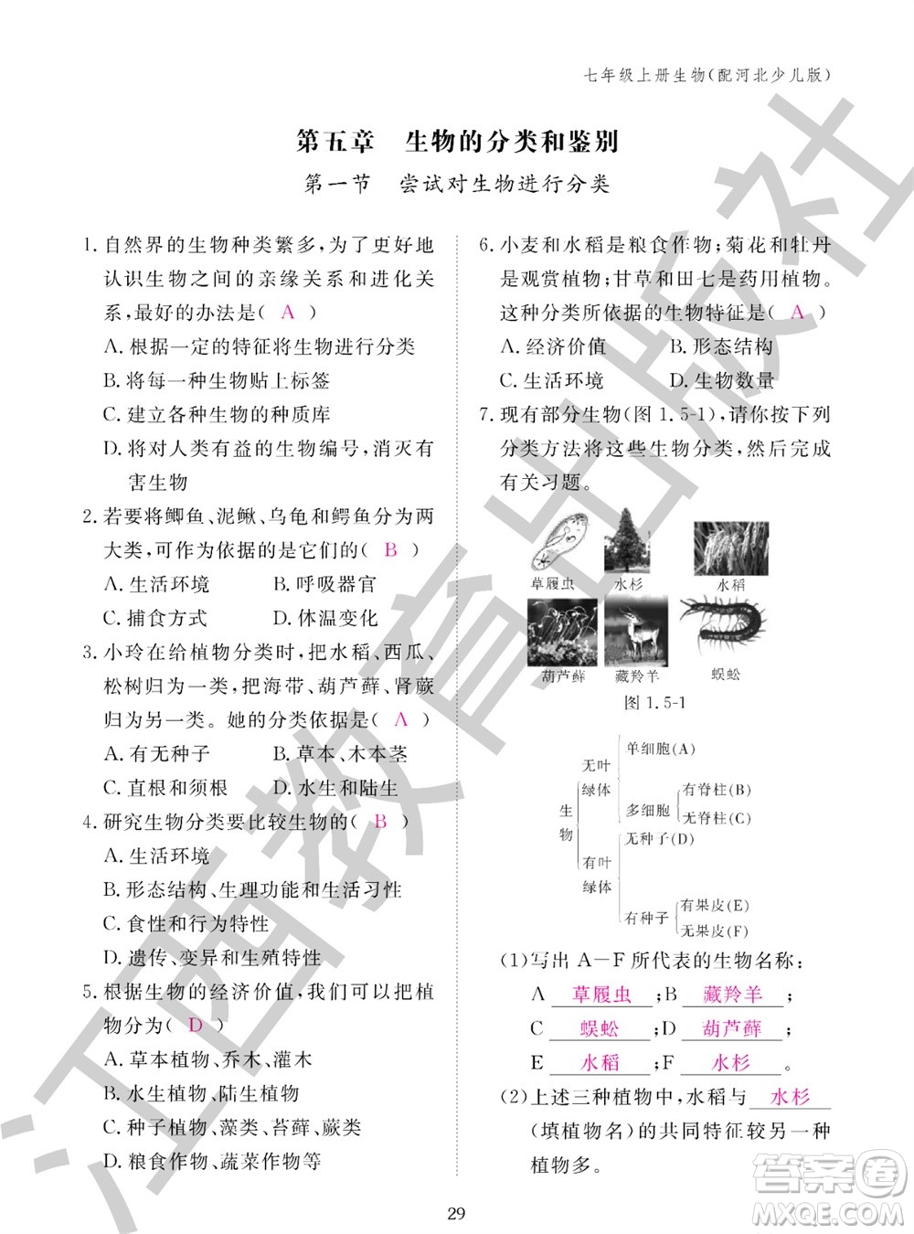 江西教育出版社2023年秋生物作業(yè)本七年級(jí)上冊(cè)冀少版參考答案