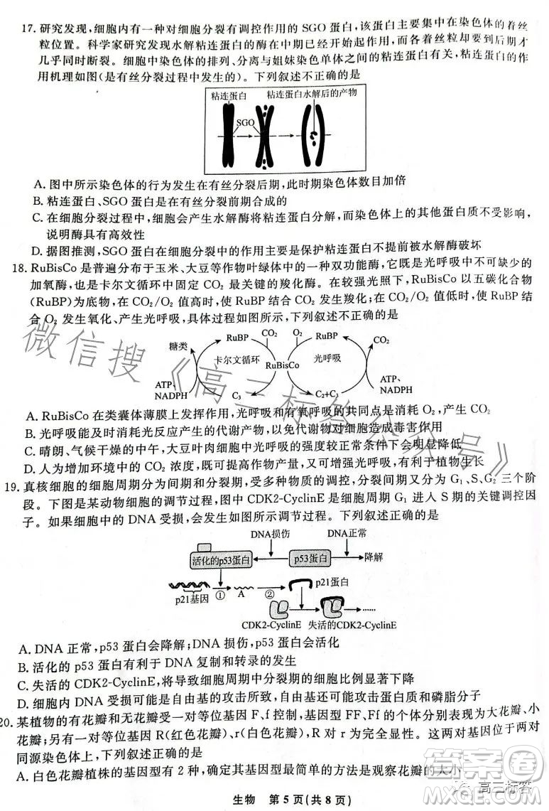 遼寧省名校聯(lián)盟2023年高三9月份聯(lián)合考試生物試卷答案