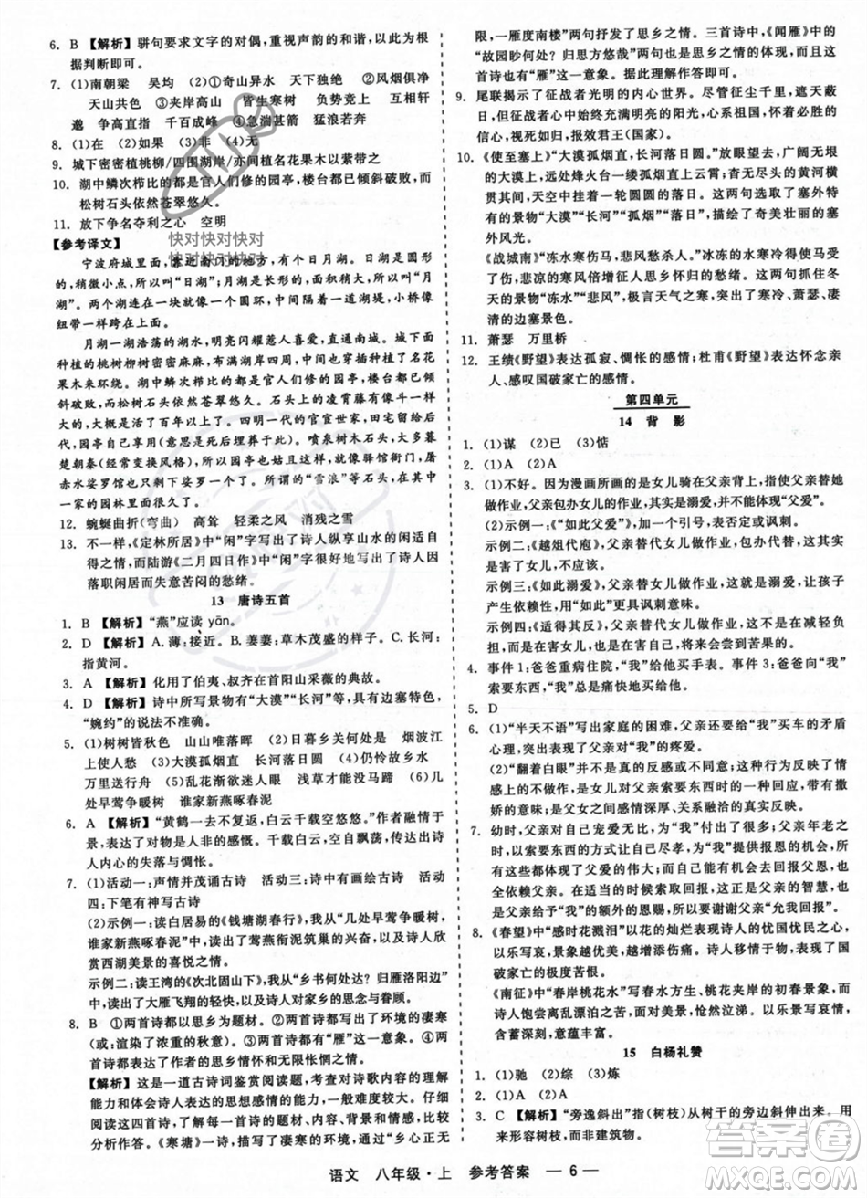 浙江工商大學出版社2023年秋精彩練習就練這一本八年級語文上冊通用版答案