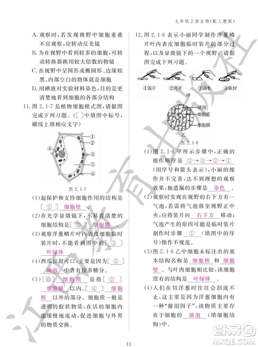 江西教育出版社2023年秋生物作業(yè)本七年級(jí)上冊(cè)人教版參考答案